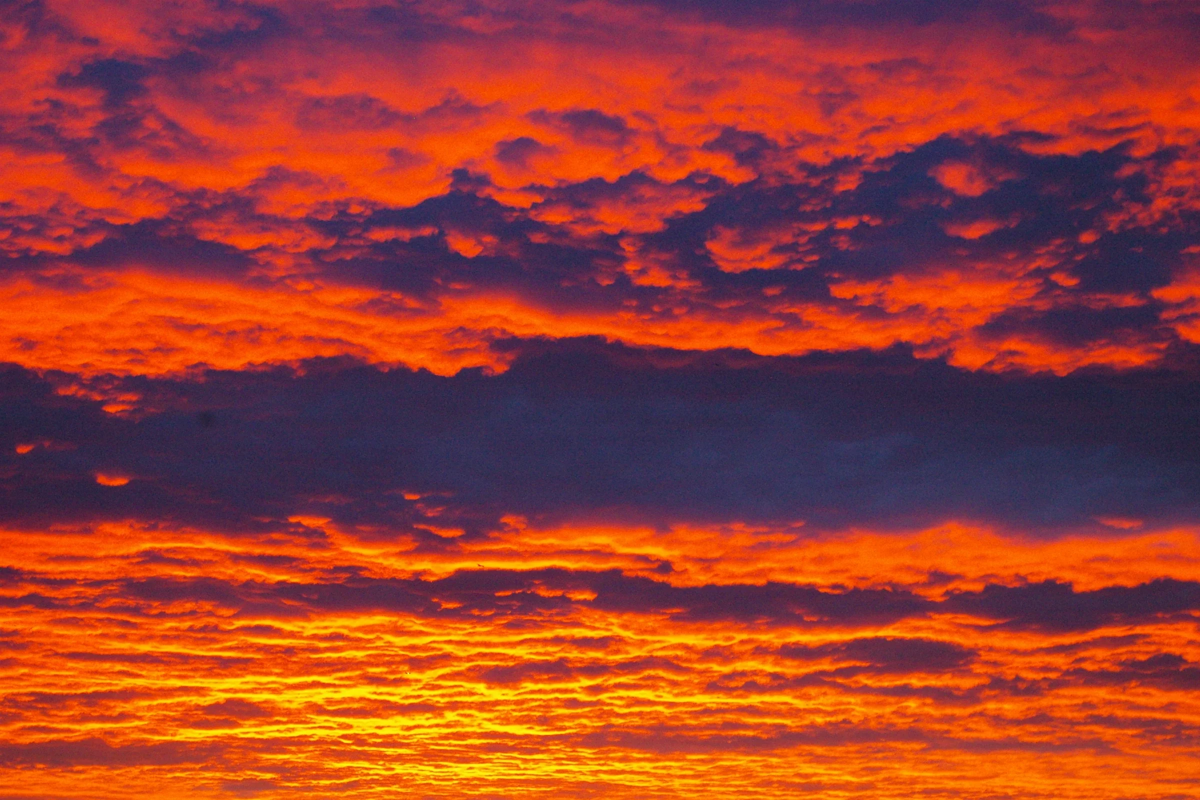 Red sky