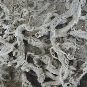 Calcification