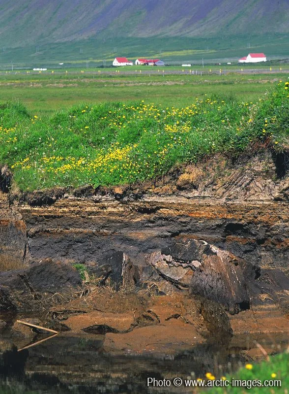 Layers of earth shown with farm in distance, Snaefellsnes, Iceland