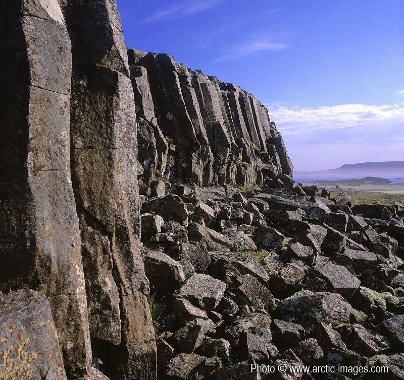 Basalt columns, Berufjordur fjord, Iceland