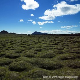 Earth mounds in Leirhnukur hot spring area, Northern Iceland