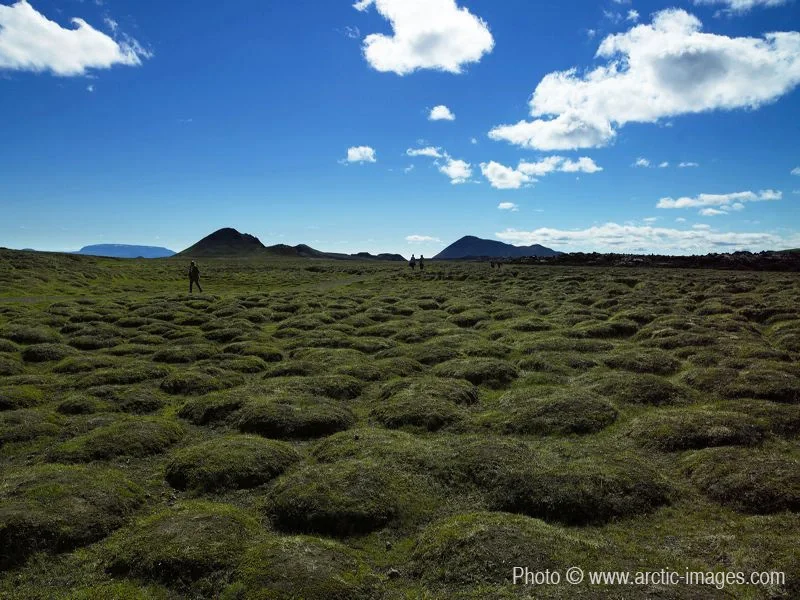 Earth mounds in Leirhnukur hot spring area, Northern Iceland