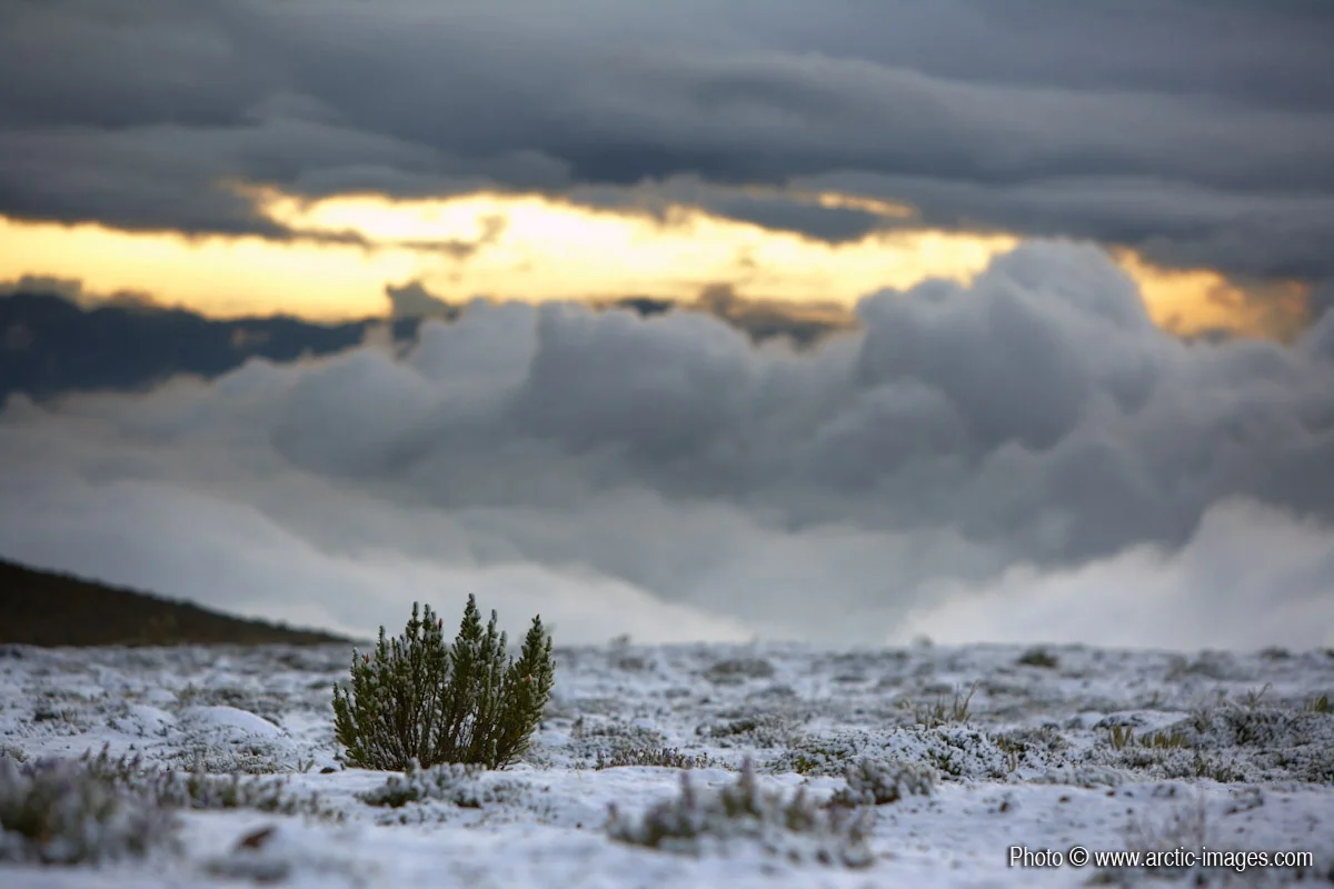 Clouds over Mt. Chimborazo, Ecuador