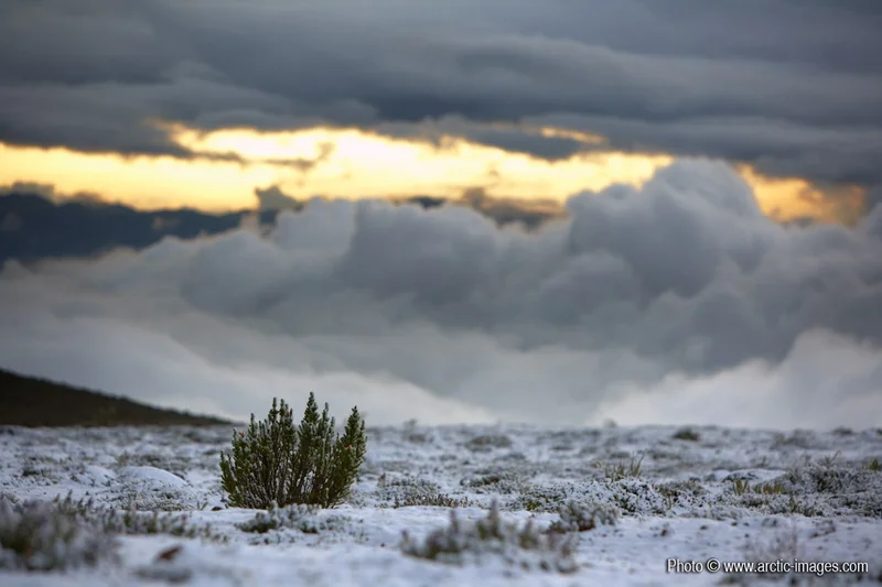Clouds over Mt. Chimborazo, Ecuador
