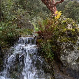 Waterfall in Andes Mountains, Ecuador