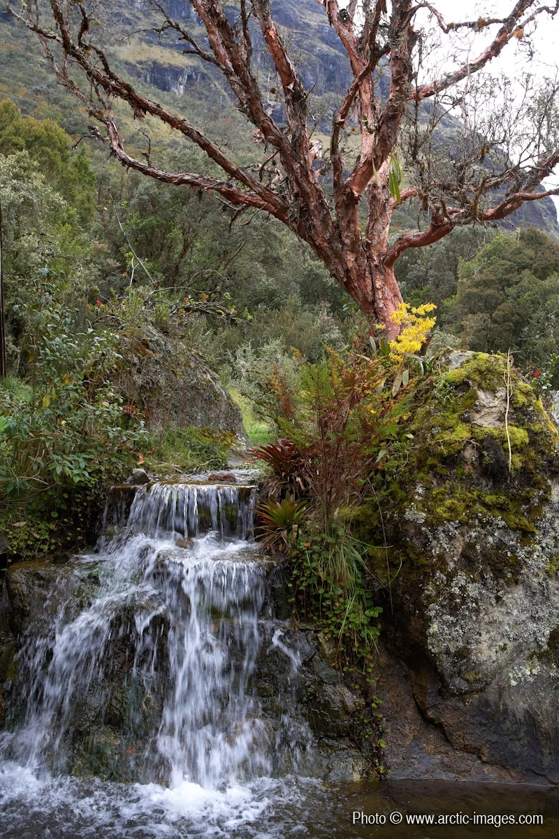 Waterfall in Andes Mountains, Ecuador