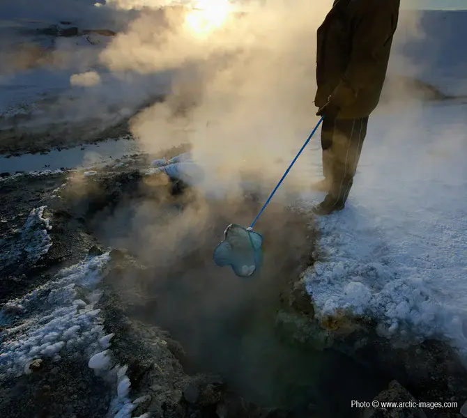Cooking eggs in geothermal hot springs, Krysuvik, Iceland