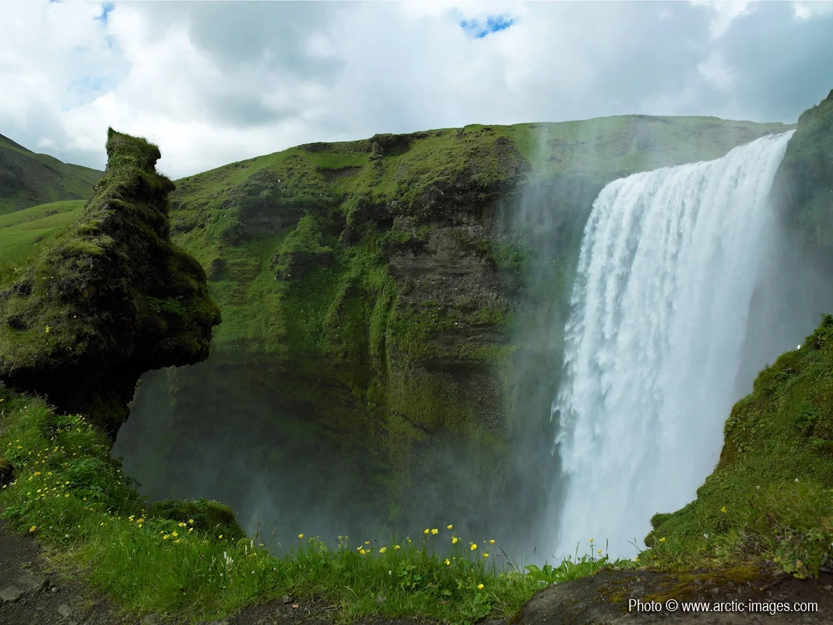 Moss covered cliffs, Skogafoss waterfall, Iceland
