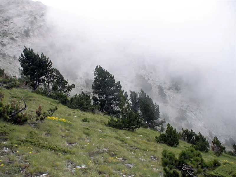 Mount Olympus, Macedonia, Greece