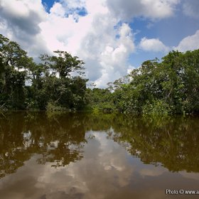 Napa river, Amazon, Ecuador