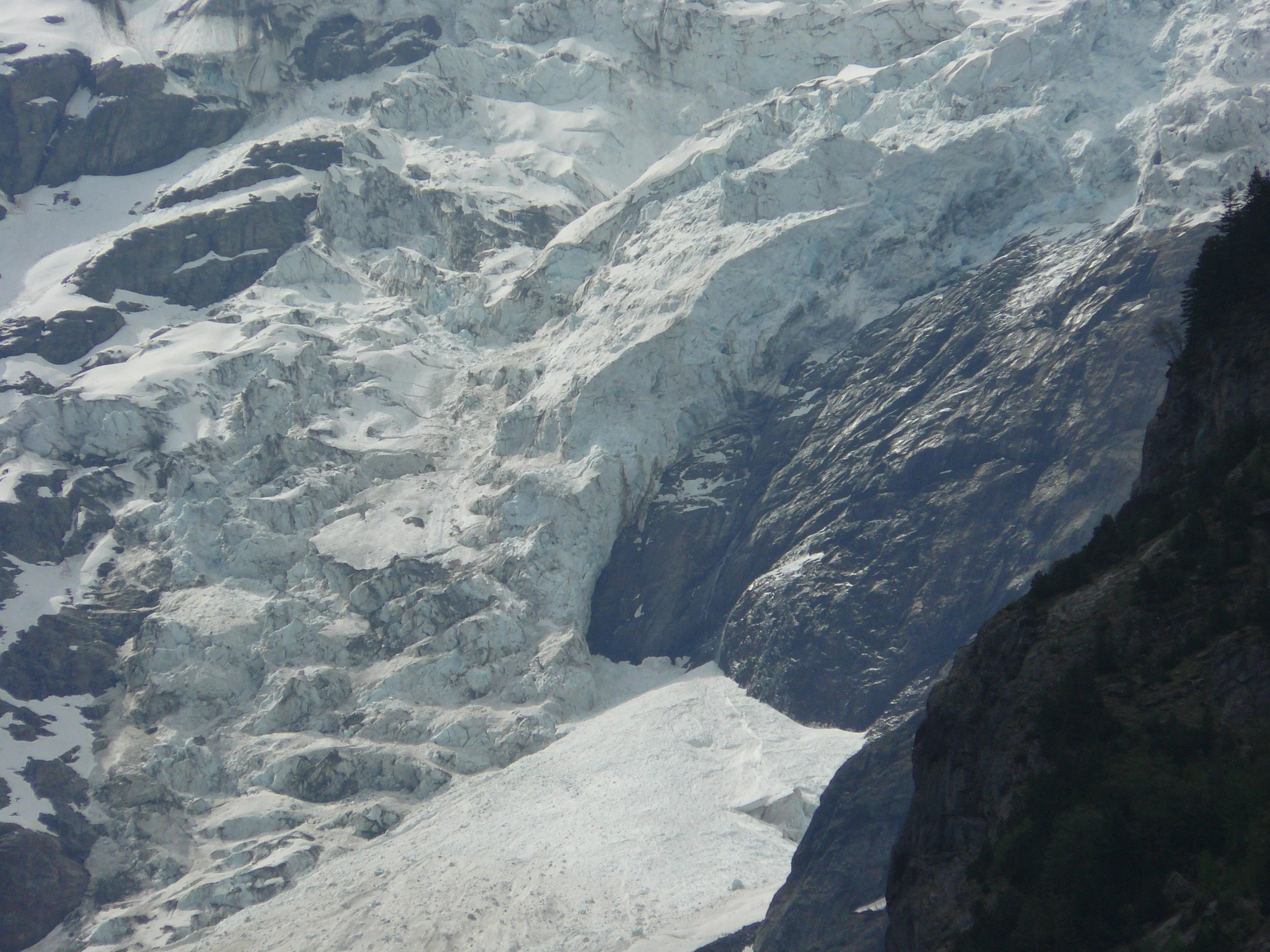 Lower Grindelwald Glacier