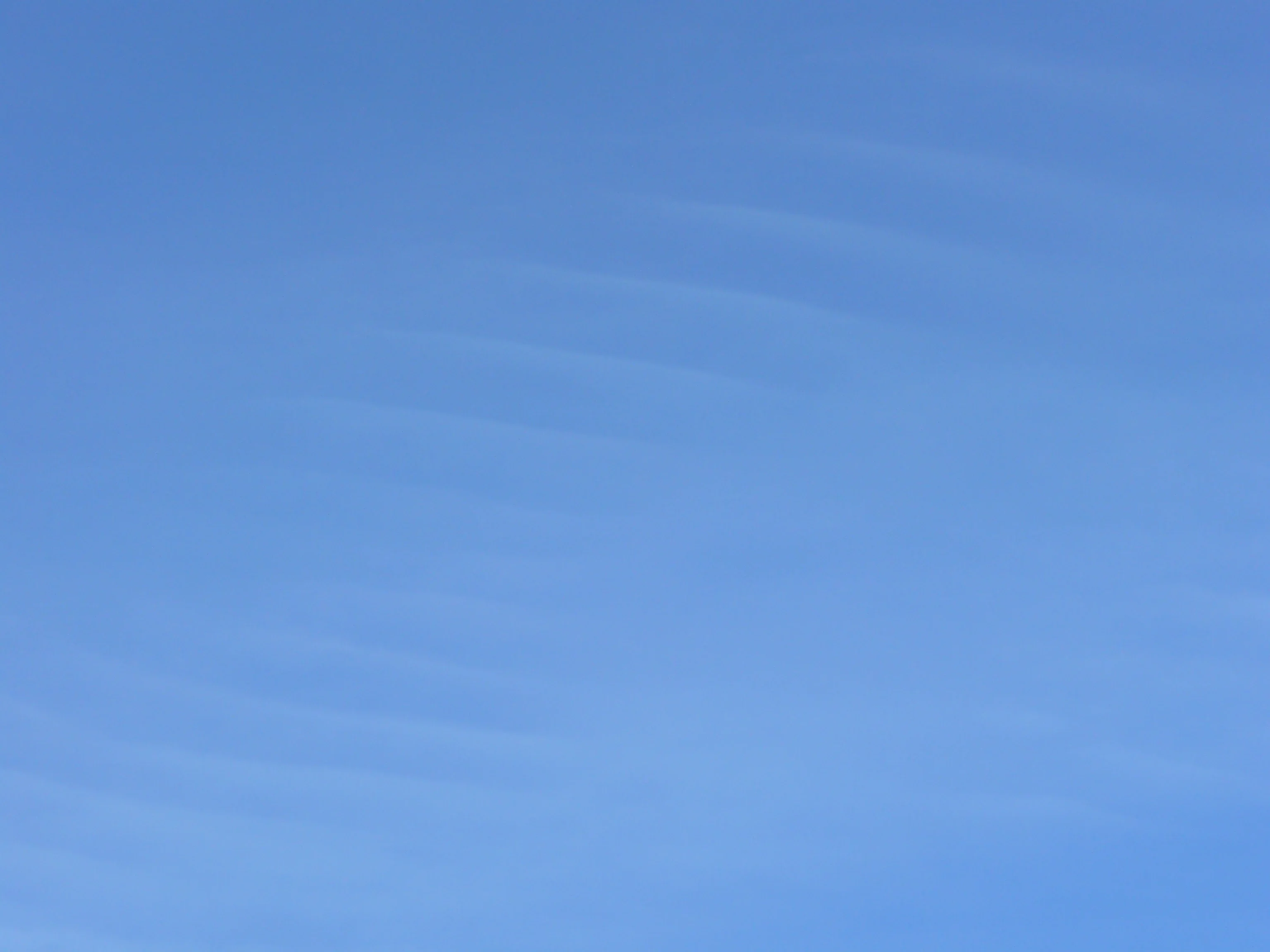 Gravity waves in cirrus clouds