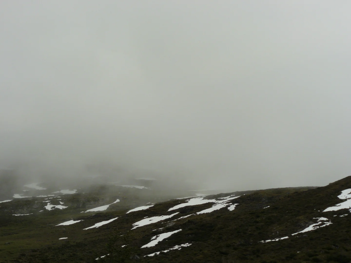 Fog