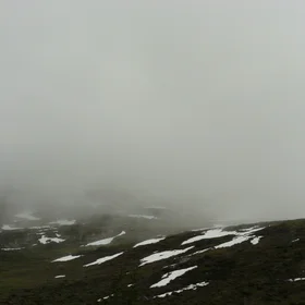 Fog