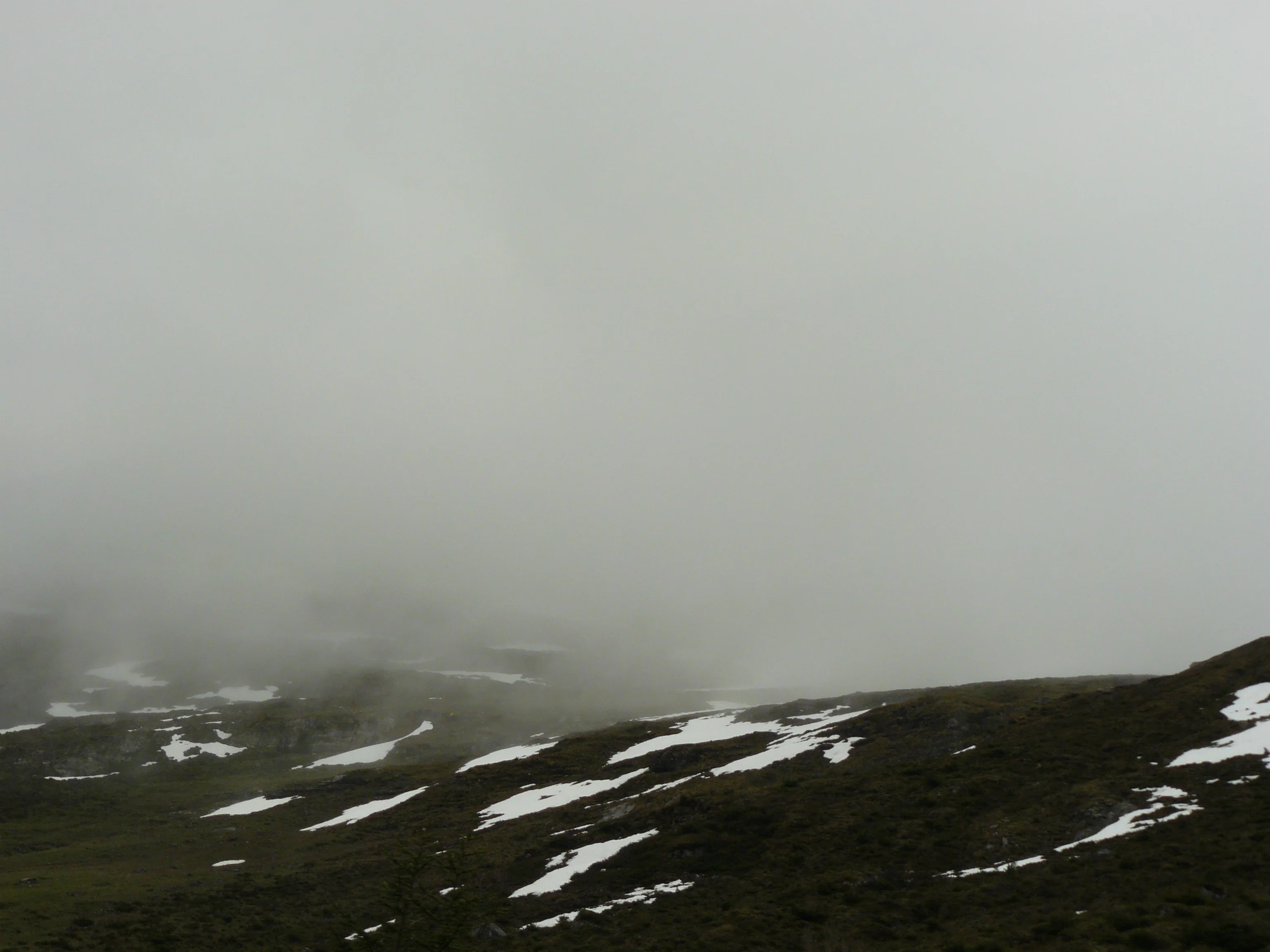 Fog