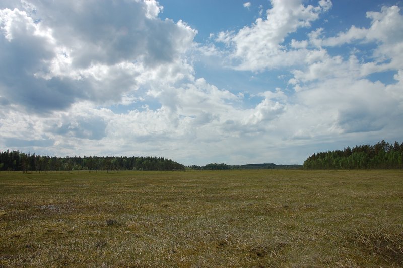 Hyytiälä