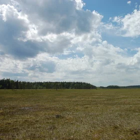 Hyytiälä