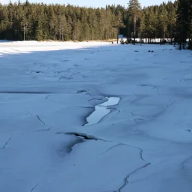Bulgaria-Dospat Area 4