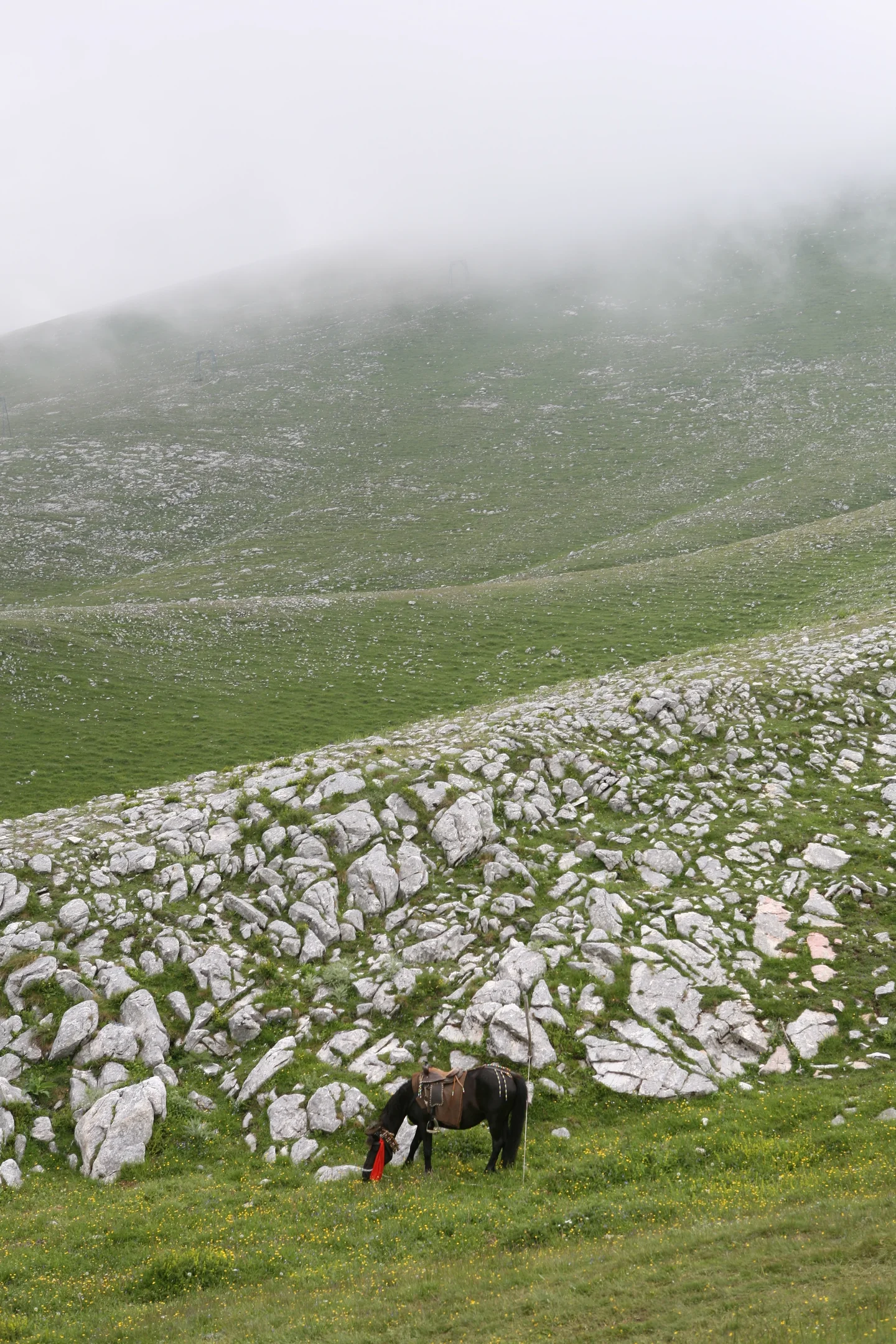 Mountain Falakro