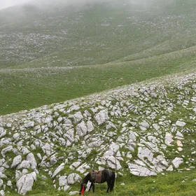 Mountain Falakro