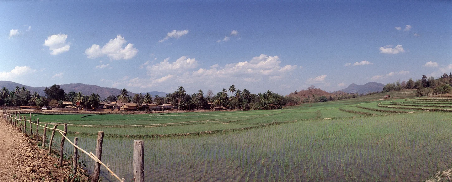 North Laos-Rise Fild