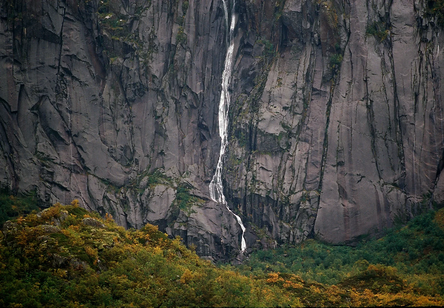 Norway-Troll Fjord 4