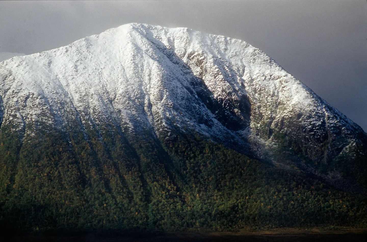Norway-From Tromso To Vesteralen Islands By The Hurtigruten Coastal Steamer 13
