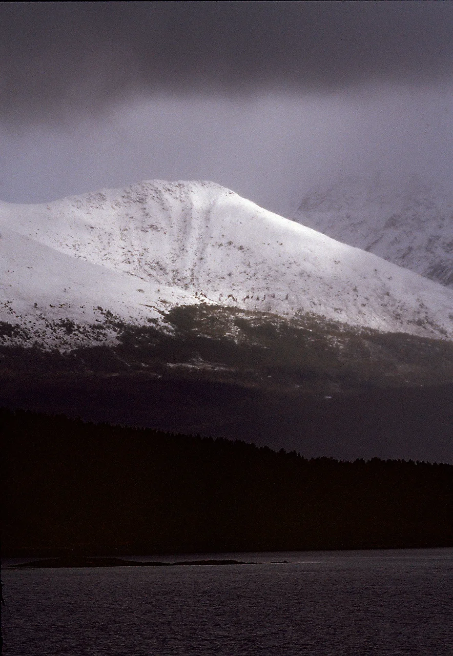 Norway-From Tromso To Vesteralen Islands By The Hurtigruten Coastal Steamer 07