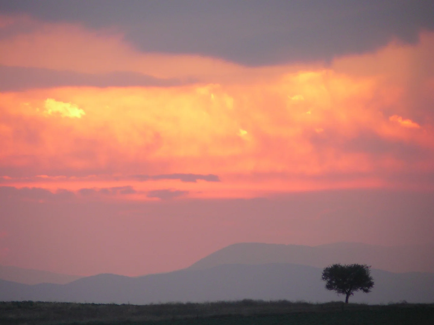 Sunset