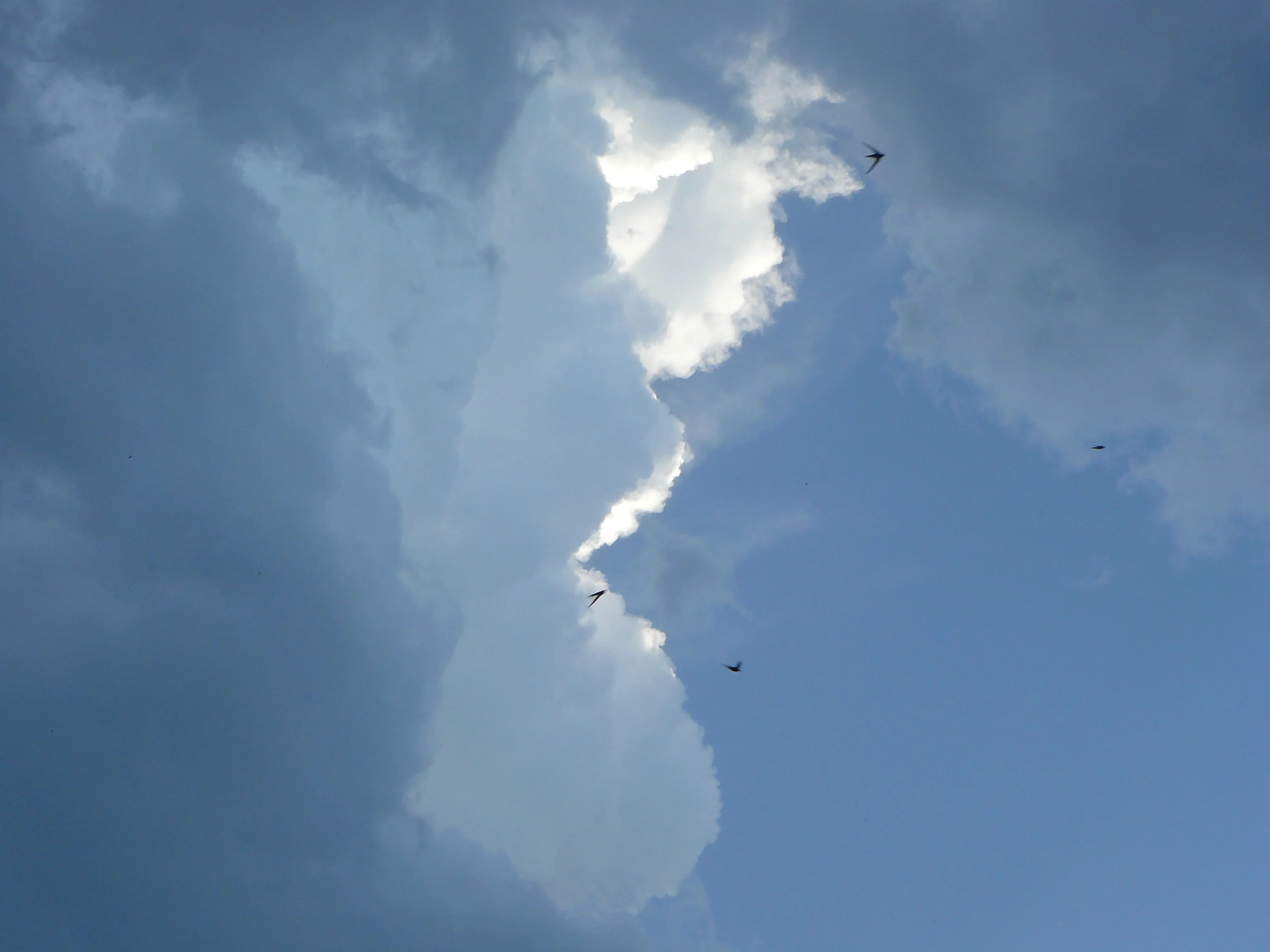 Clouds