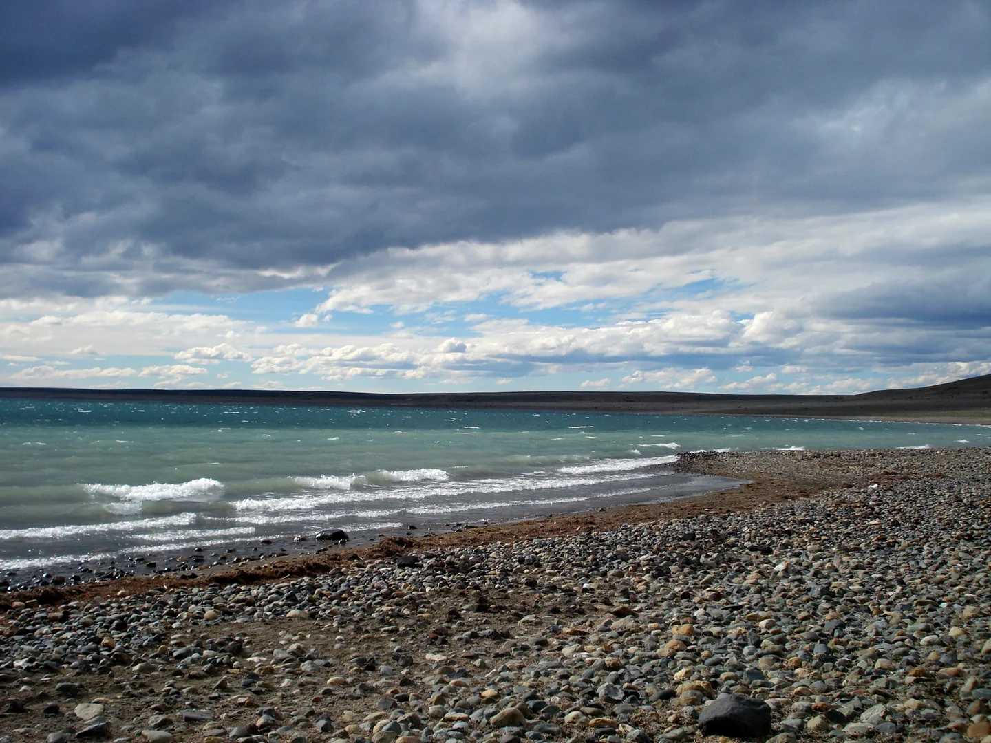 Patagonian blues