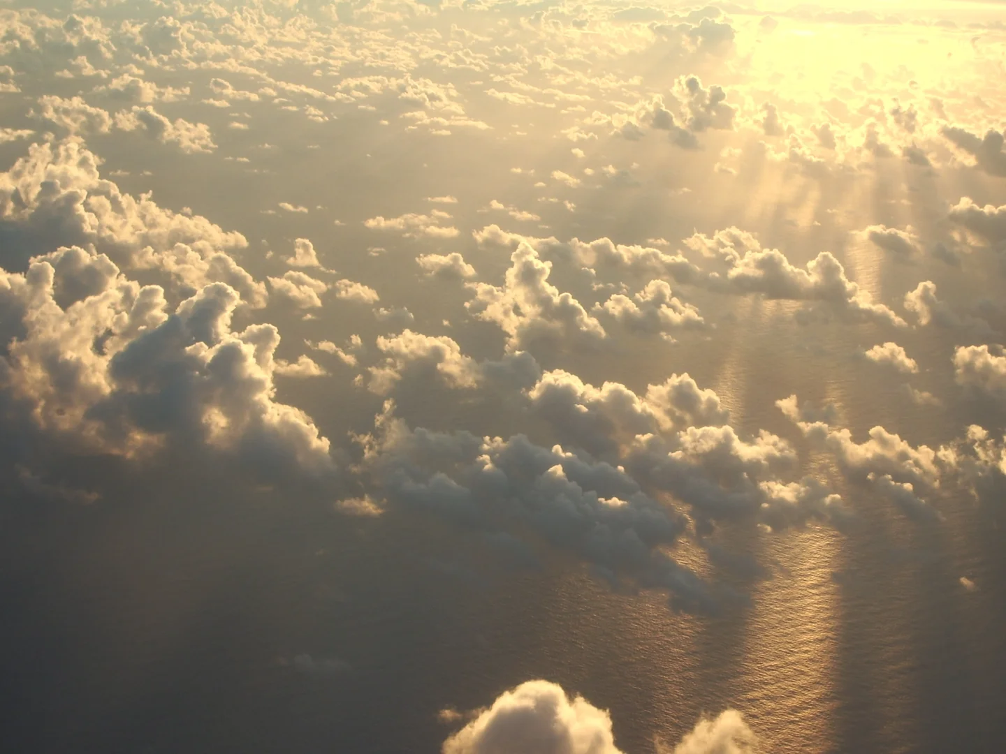 Shallow Cumulus at Sunrise