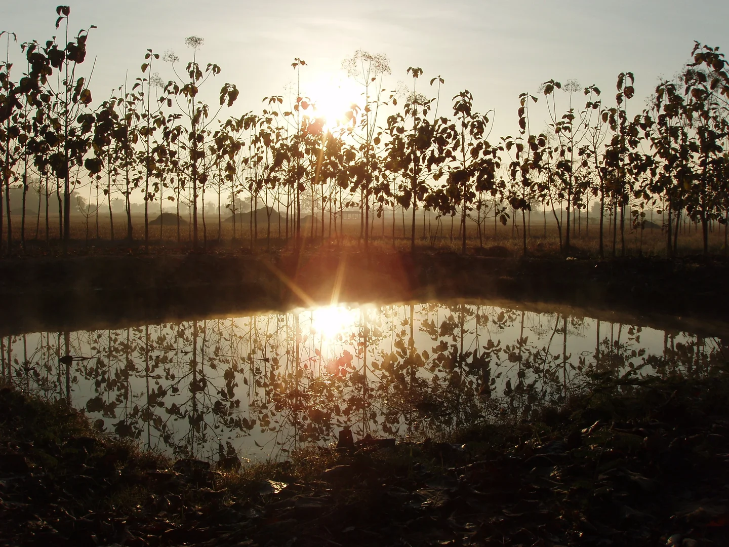 Misty morning sunrise
