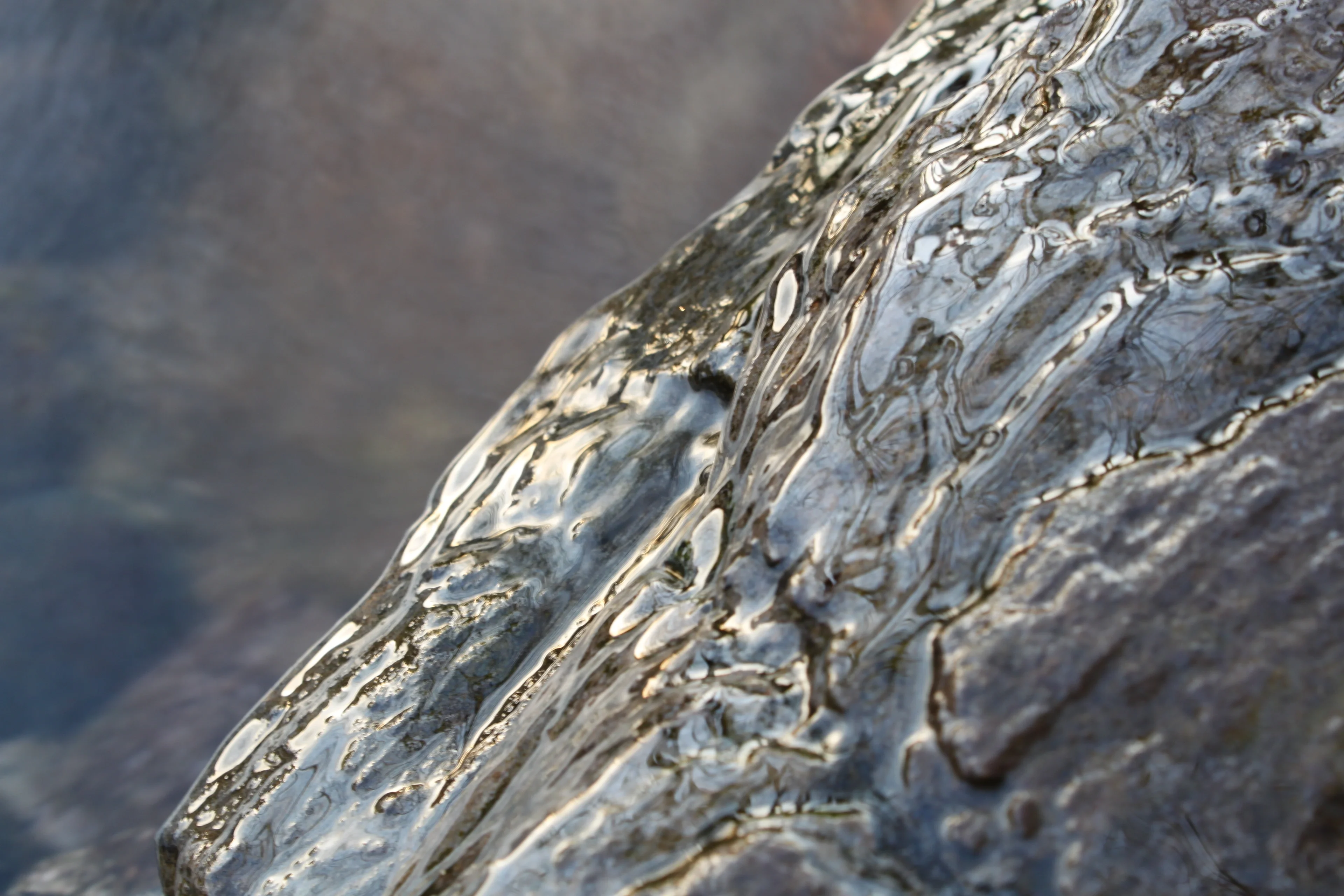 Springwater floating over a boulder reflecting the evening sky