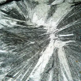 Chloritoid discoman