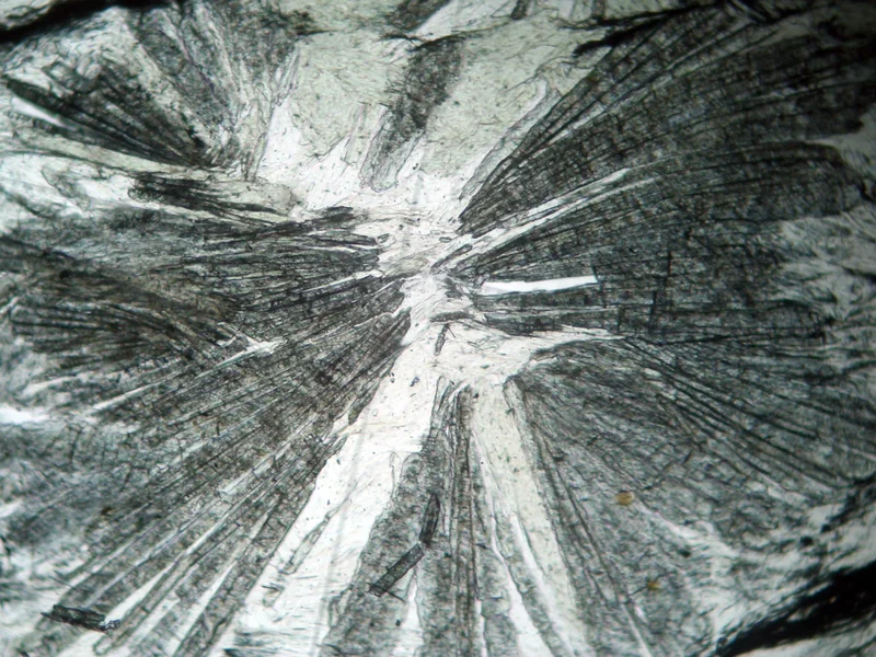 Chloritoid discoman