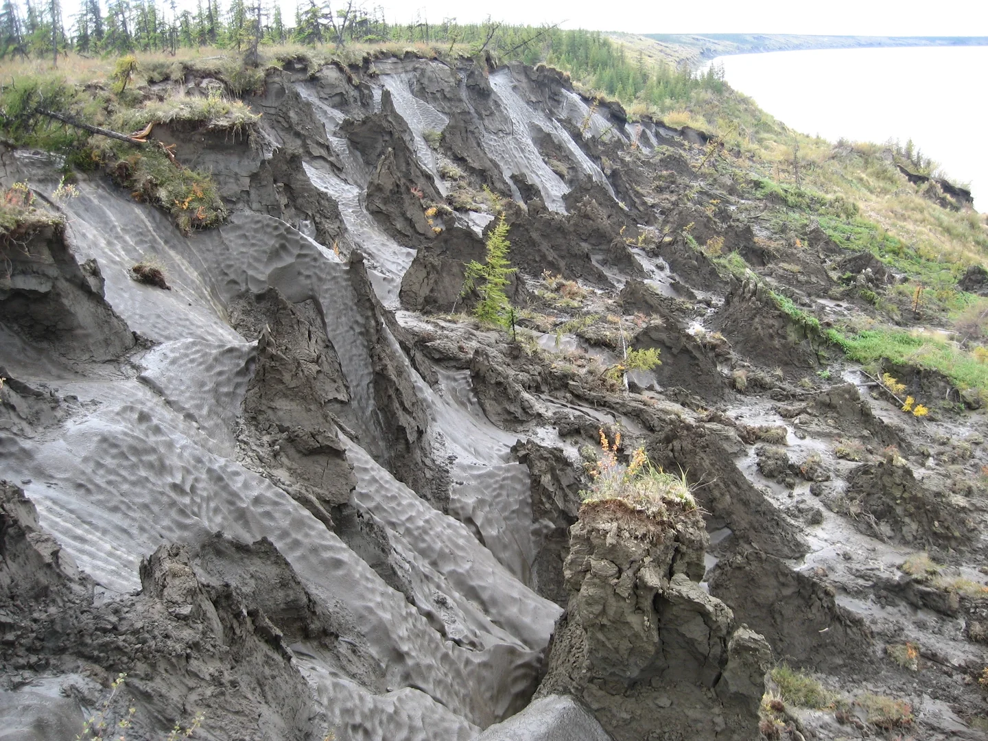 Thawing Permafrost in Siberia
