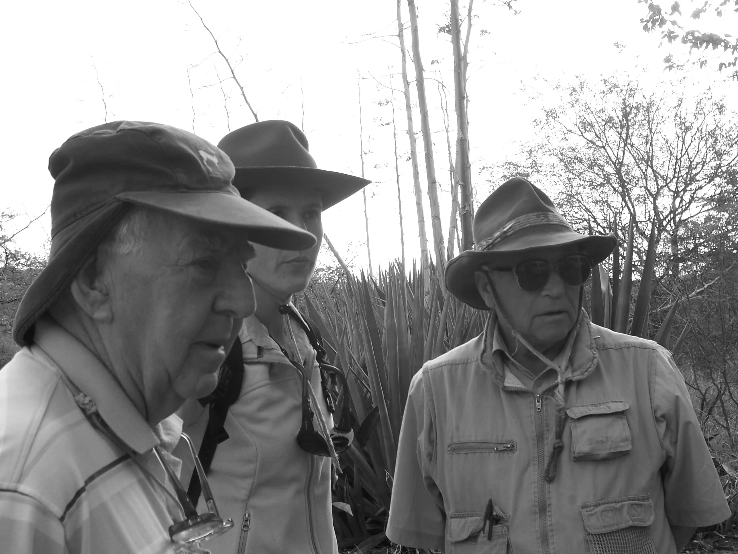 Old geologists at the outcrop