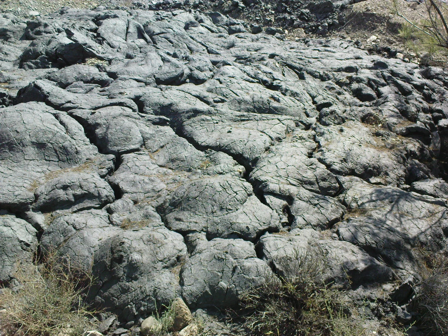 Coal pollution
