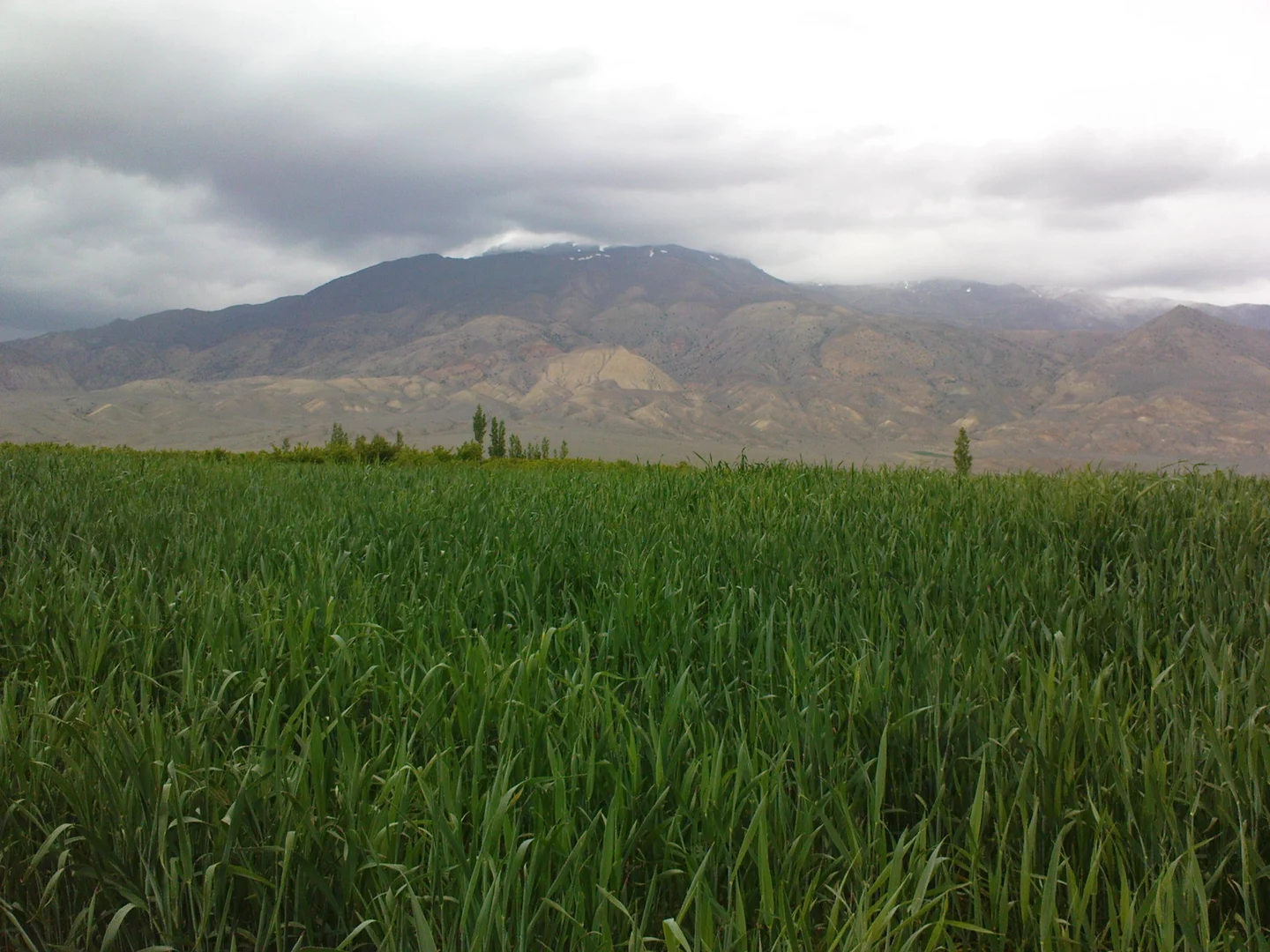 Shahroud nature