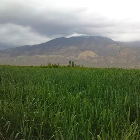 Shahroud nature