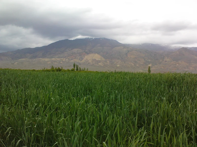 Shahroud nature