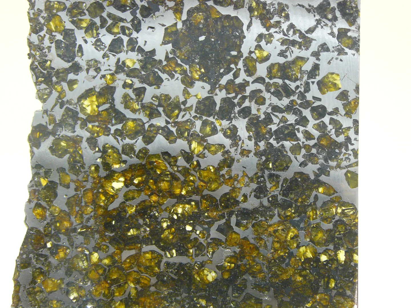 Seymchan pallatite meteorite
