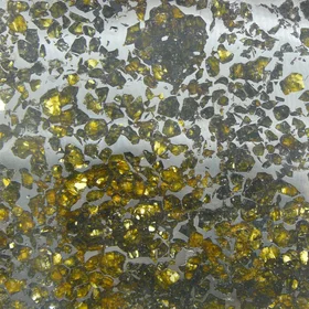 Seymchan pallatite meteorite
