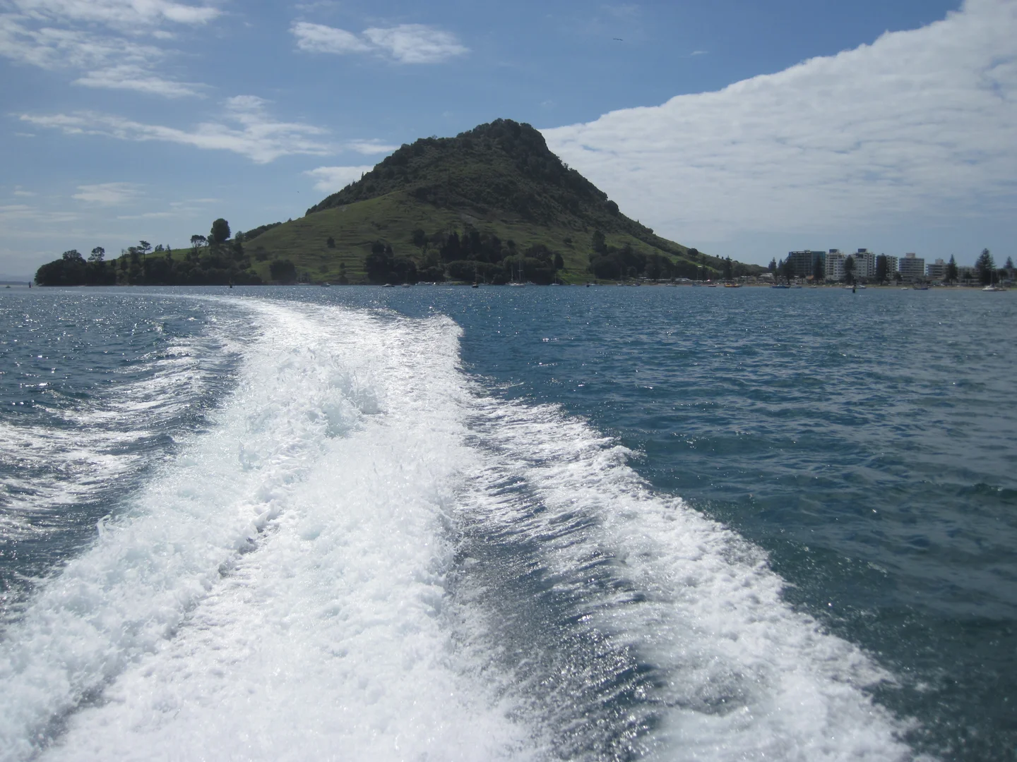 Mt Manganuii , Bay of Plenty, Northeastern New Zealand