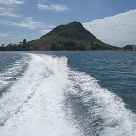 Mt Manganuii , Bay of Plenty, Northeastern New Zealand