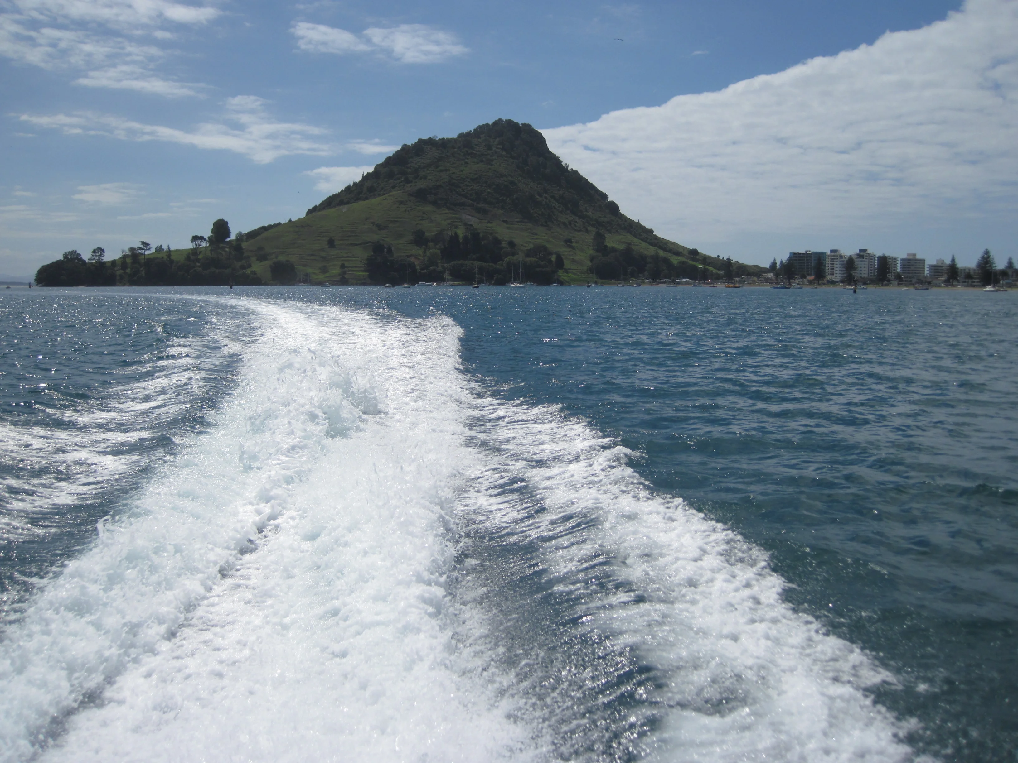 Mt Manganuii , Bay of Plenty, Northeastern New Zealand