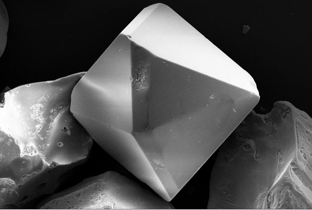 Titanomagnetite grain