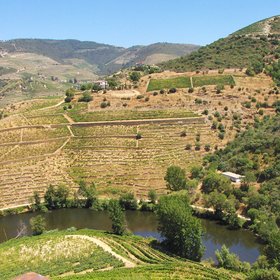 Demarcated Region of Douro: a World Heritage Site