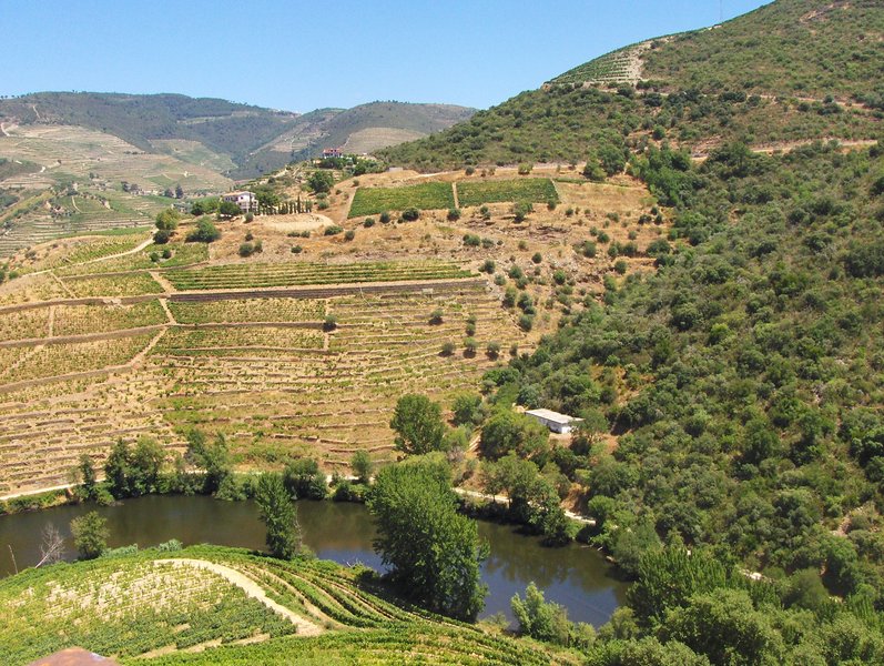 Demarcated Region of Douro: a World Heritage Site